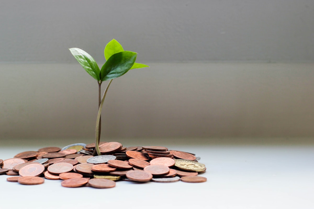 Piggy bank and money representing credit score protection in retirement